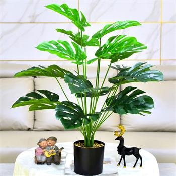 Evergreen - Artificial Plants